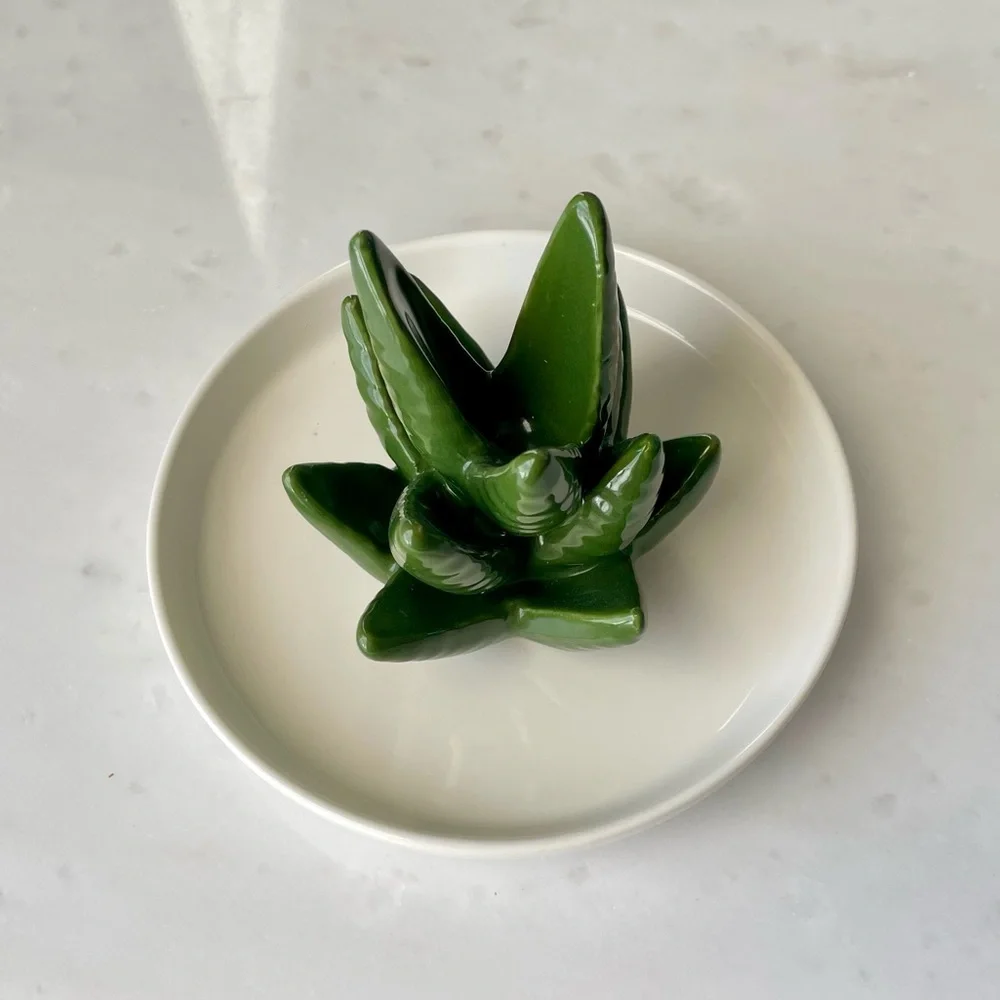 Cactus Ring Holder